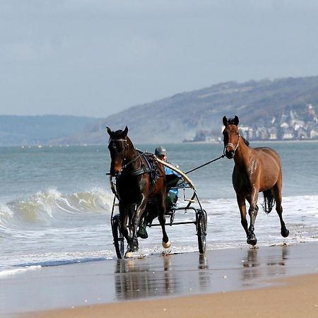 Le Nid De Plage A 100 M De La Mer 卡布尔 外观 照片
