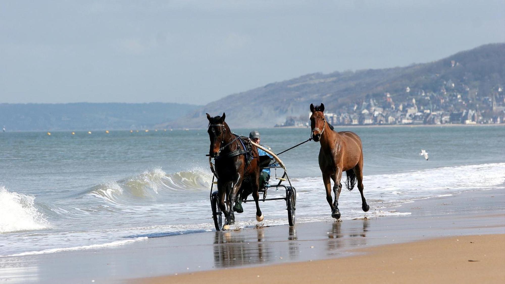 Le Nid De Plage A 100 M De La Mer 卡布尔 外观 照片